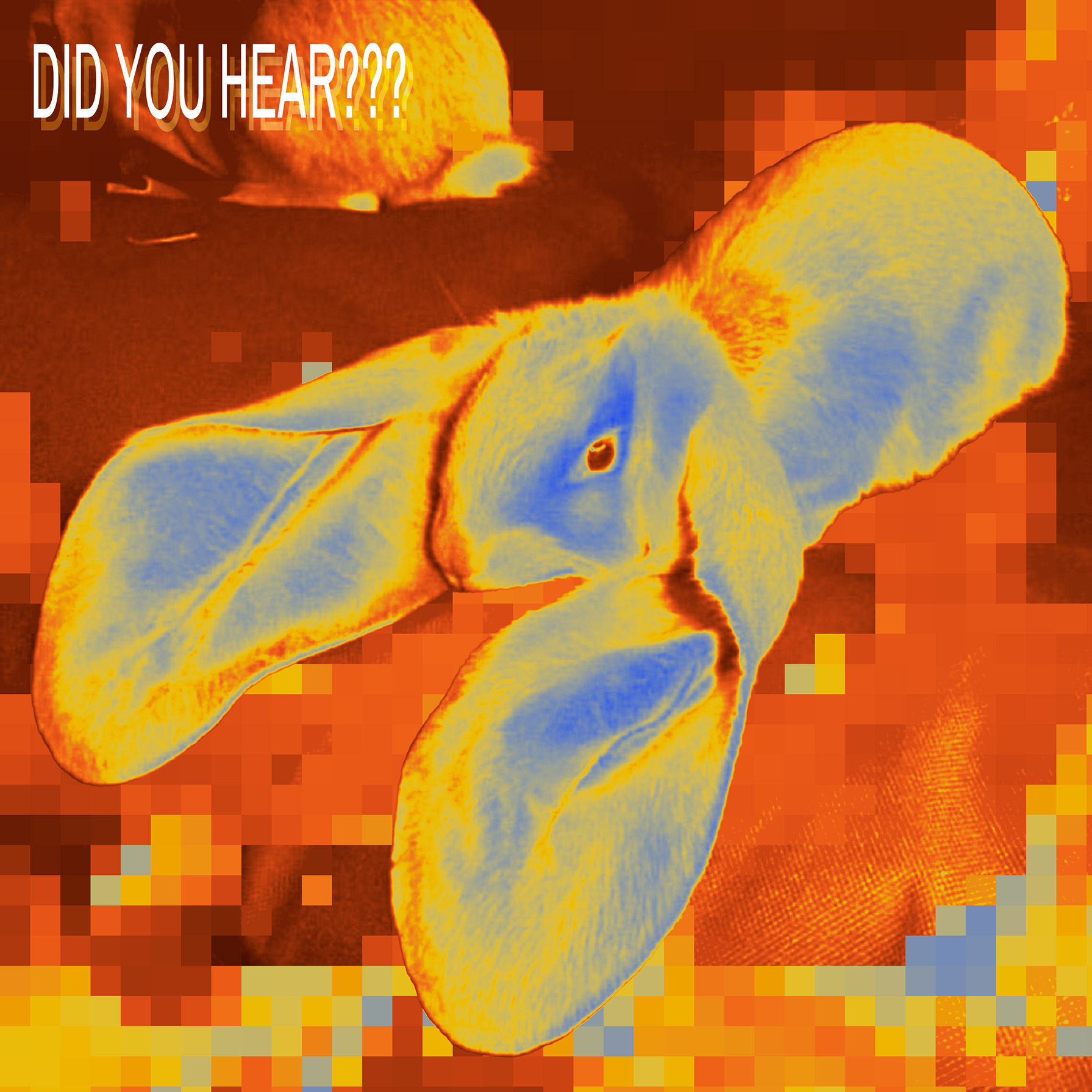 Did u hear? - Playlist cover